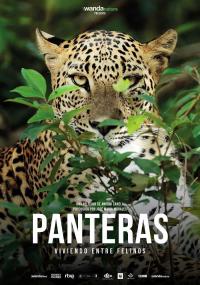 Poster Panteras: Viviendo entre felinos